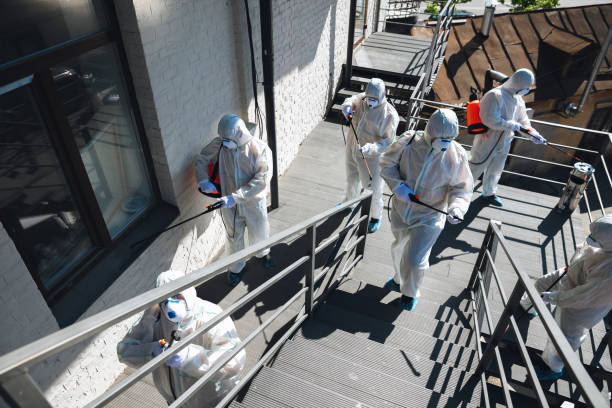 Mold Remediation for Rental Properties in Cambridge Springs, PA